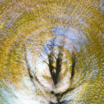 20071012-_DSC3378