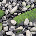 Briar Island green rocks ns