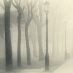 Venice-9978_fx_PRINT