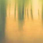 Pan_0432_fx
