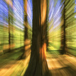 Zoom_Motion Studies.Vancouver200409_fx