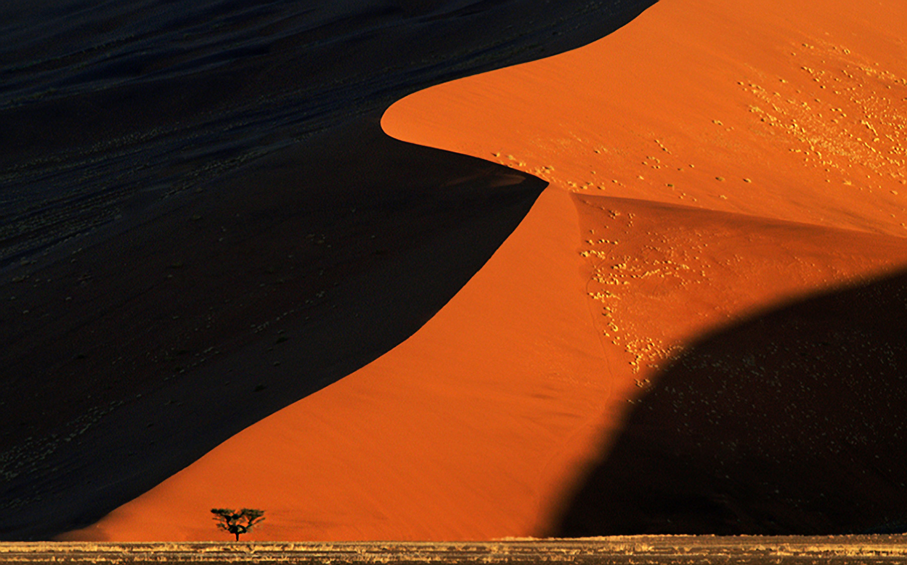 Untitled-2_upscaled Untitled-2_upscaled