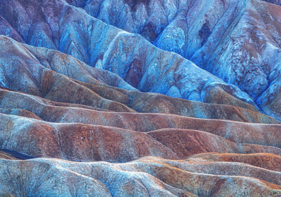 RMartin-website_5205