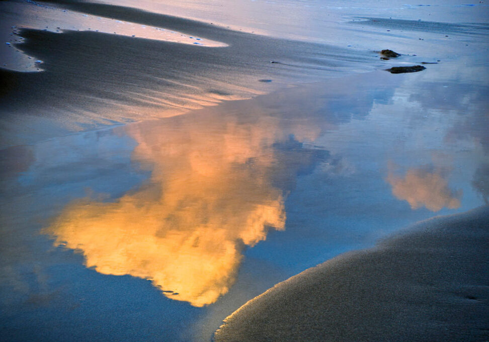 RMartin-website_8113