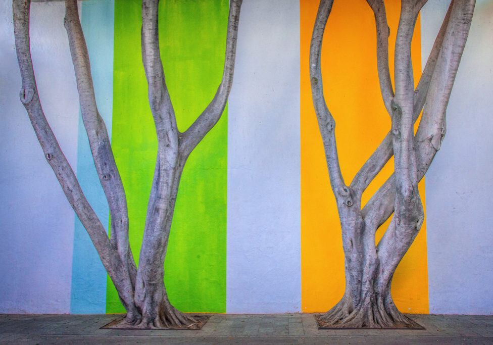 RMartin-website_DSC1607