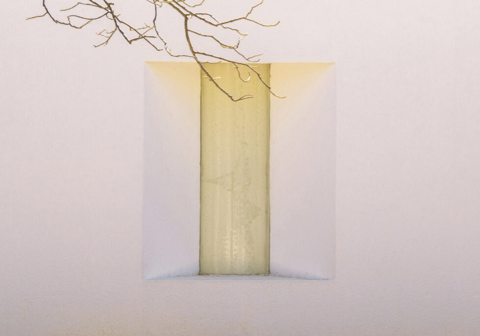 RMartin-website_DSC1690