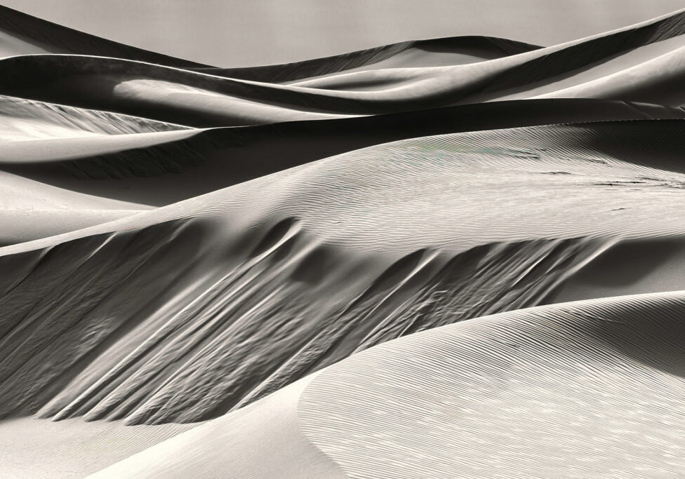 RMartin-website_DSC9665